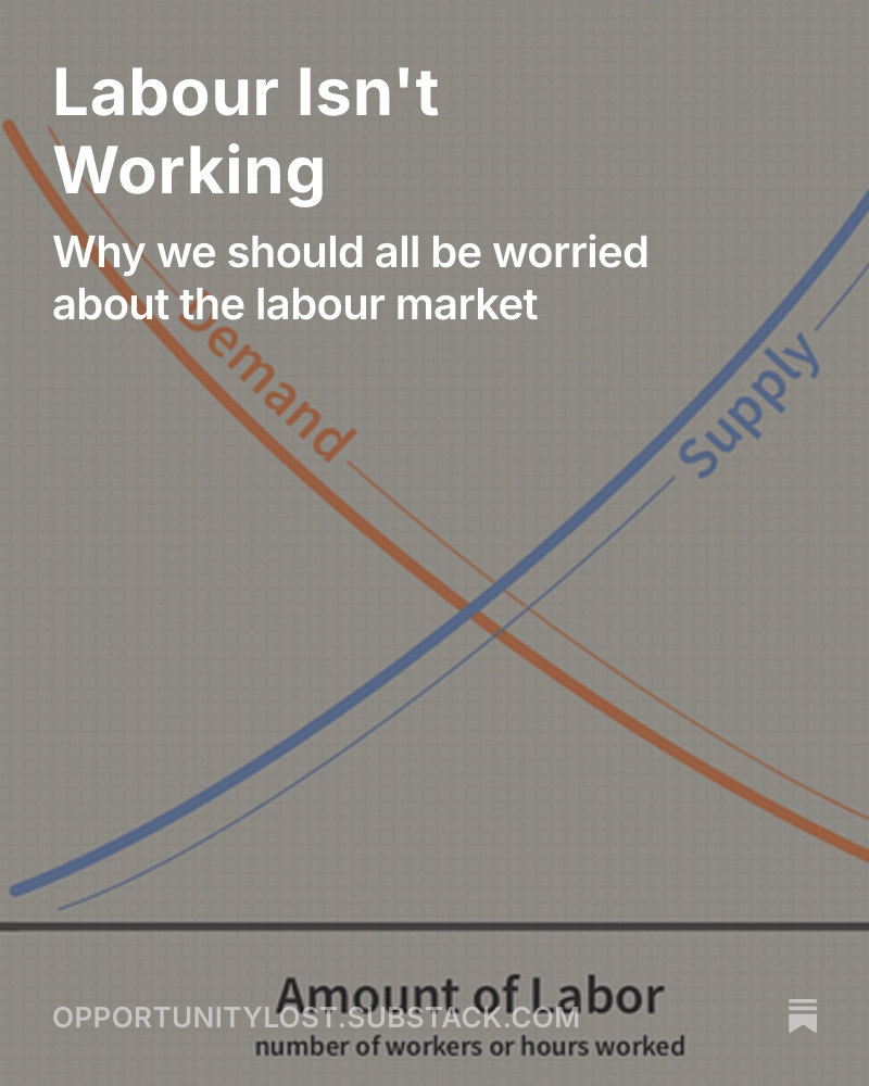 New blog post!

A toxic combination of increases to the minimum wage, the Employment Rights Bill, and the Employers' NI hike has brought the labour market to breaking point. This should concern us all.

Link in reply.