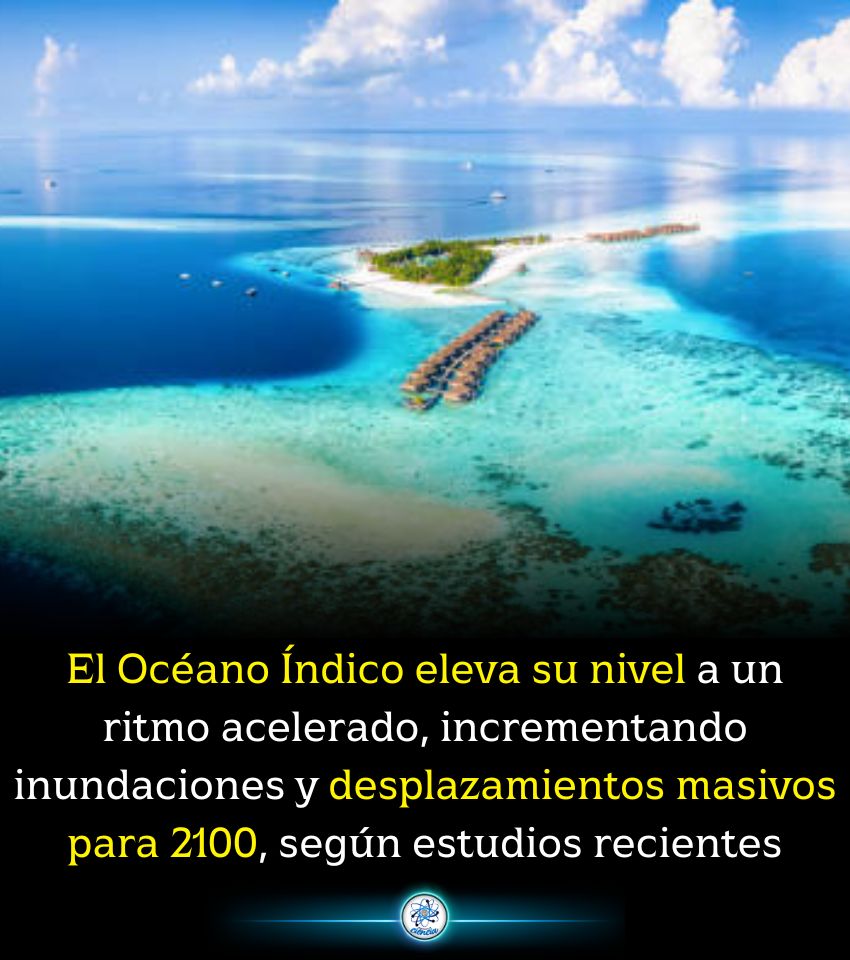 EnsedeCiencia's tweet image. 