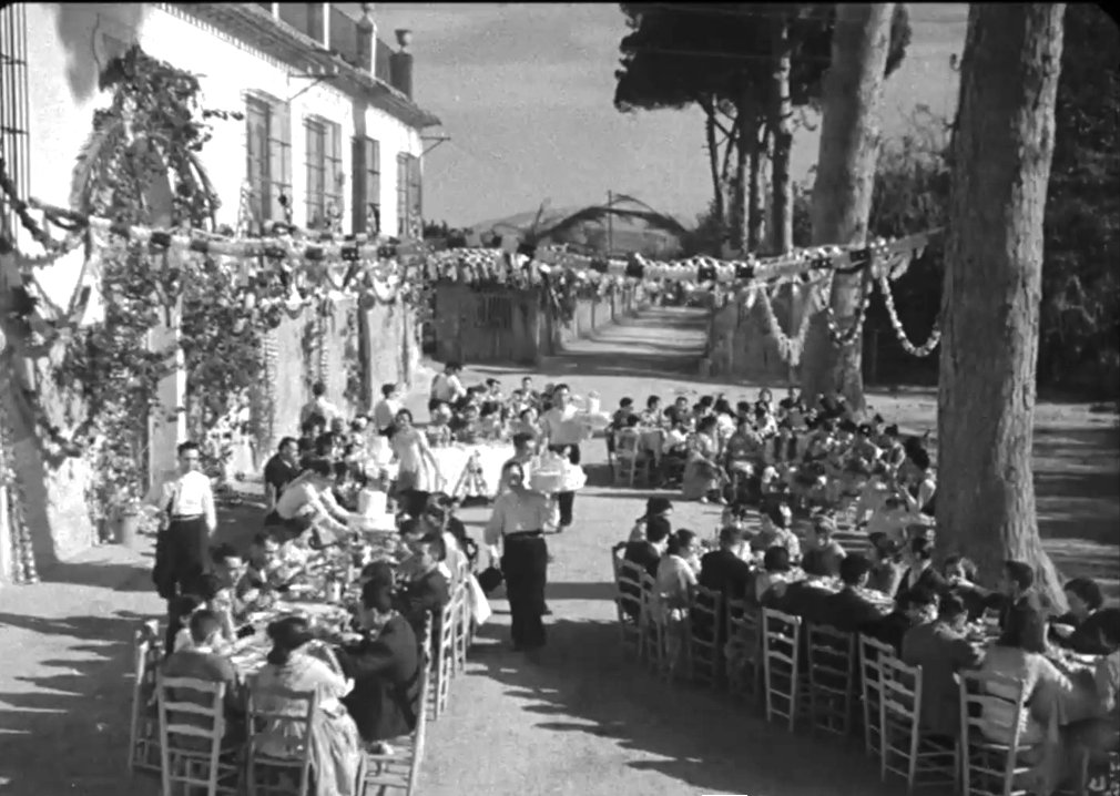 La película francesa 'En los jardines de Murcia' fue rodada en 1935 en diversas localizaciones de la huerta, y resulta que salen numerosos pinos de Churra ya con un tamaño enorme y que estaban por todos lados. ¿Cómo han podido dar lugar a esto? #PatrimurSOS #PatrimonioNatural