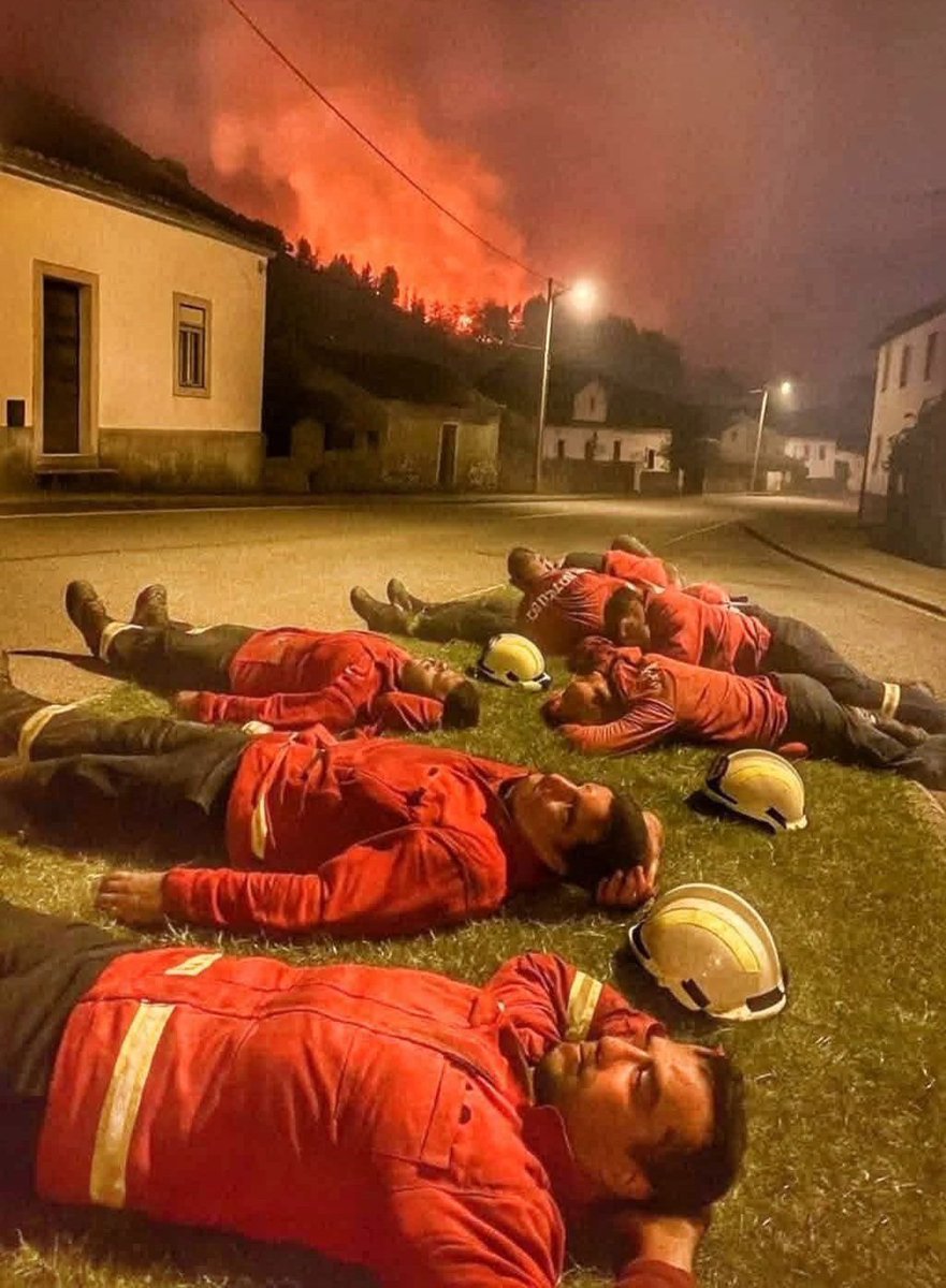 PatriotaCanaria's tweet image. ¿QUIEREN MÁS PRUEBAS ESPAÑOLES PASIVOS?
#Espabilad
#Espabilad
@1905Civil 
@Macarena_Olona 
@Eduolivabueno 
@pilaruramos 
@navedelmisterio 
@JuntosGc62382 
@jucilguipuzcoa1 
@AntidisturbiosU