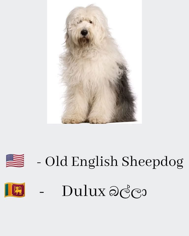 உண்மை 🤭🤭 #เจมีไนน์โฟร์ท