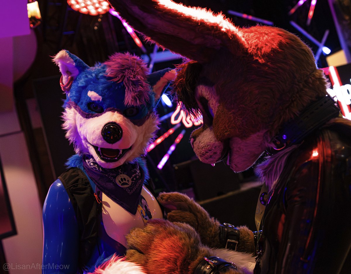 Theron (@theron_floof) on Twitter photo I found a squeaky bnuy at #awoostria should I take it home?
Many thanks to Lisan for taking these awesome pics. I hope to see you all at the rubberfurs meet at #eurofurence again. Happy #SqueakySaturday!
๐ธ <a href="/LisanAfterMeow/">LisanAfterMeow ๐ FBlackLight</a>
#rubberfurs #latexfurs I found a squeaky bnuy at #awoostria should I take it home?
Many thanks to Lisan for taking these awesome pics. I hope to see you all at the rubberfurs meet at #eurofurence again. Happy #SqueakySaturday!
๐ธ <a href="/LisanAfterMeow/">LisanAfterMeow ๐ FBlackLight</a>
#rubberfurs #latexfurs