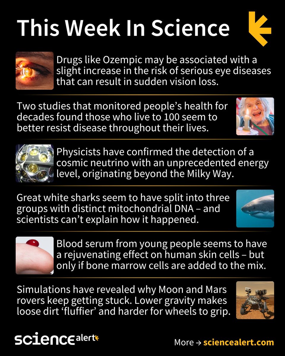 ScienceAlert's tweet image. This Week In Science (August 10-16) 🧪

How to live to 100, a record-breaking cosmic particle, a shark DNA mystery, and much more!

#ScienceNews #ScienceAlert #STEM #ThisWeekInScience #TWIS