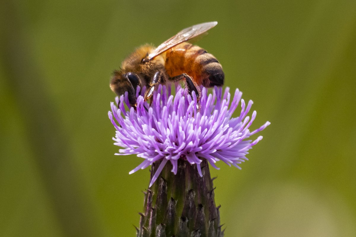 Conservancy for CVNP tweet media