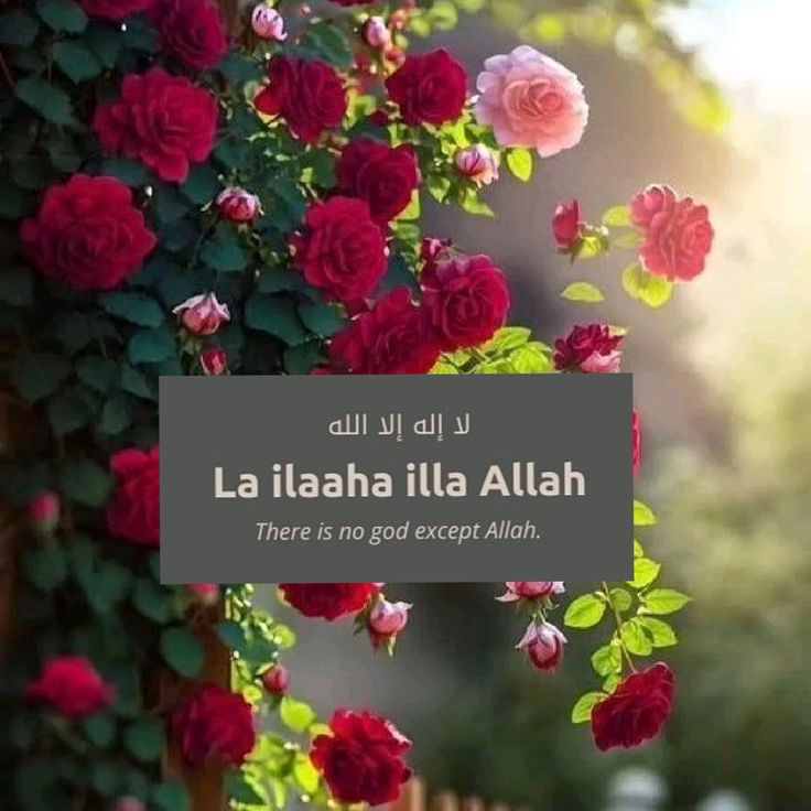 𝐒ҽԋαʀ 👑 (@sehar___) on Twitter photo #ملک_پرموشن
ProMo🌸
<a href="/01Mllik/">𝙈𝘼𝙇𝙄𝙆 𝙅𝙄💫💙</a> <a href="/1arshd/">𝗔𝗿𝘀𝗵𝗱 𝗠𝗹𝗶𝗸💫👑</a>
<a href="/01rshd/">ارشـــد مــلــک❤️</a> <a href="/1Arshii/">𝓐𝓻𝓼𝓱𝓲𝓪 🌸💫</a>
<a href="/0Sehrr/">سحر ملک 🕊️🦋</a> <a href="/sehr_ik/">سحر ملک 🦋🦋</a>
<a href="/0Mahiii/">khan Ki Khilariii 🏏</a>
<a href="/0Hyyat/">حیات فاطمہ ✨</a>
<a href="/_NM40/">Nabeel Zaffar</a>
<a href="/111mn1/">🐬آمنہ ملک🦋</a>
<a href="/1Sehar_/">𝐒ҽԋαʀ 👑</a>
<a href="/glmsjd/">𝑺𝒂𝒋𝒋𝒂𝒅 ✨</a>
<a href="/shz787/">🌟⭐️🌟🌟sʜᴀʜᴢᴀᴅ ᴍᴜɴɪʀ🌟⭐️🌟⭐️</a>
<a href="/1shobii/">Shoaib 🇵🇰</a>
<a href="/ZK__35/">ZK</a>
<a href="/NK_pti/">𝒜𝓏𝒶𝒹 ⚑</a>
<a href="/shZ447/">🌻🌻🌻𝕊𝕙𝕒𝕙𝕫𝕒𝕕 𝕄𝕦𝕟𝕚𝕣🌻🌻🌻</a>
<a href="/Punj143/">𝓙𝓾𝓽𝓽 💕 🇵🇰</a>
<a href="/Hurain_5/">Hurain 💞حورین</a>
<a href="/Z1HAKM/">𝒁𝓮𝓮𝓷𝓲𝔂𝓪 ⒽⒶⓀⒾⓂ</a>
<a href="/ait9t/">꧁Farah🕊️ᴾᵃᵏᴾᵒʷᵉʳ</a> <a href="/1fzalI/">💓PTI ACCOUNTS PROMORTER💓</a>
<a href="/_zb_0/">زینبــــ </a> <a href="/1fazl2/">فضـ𝓪𝓴𝓫𝓪𝓻ـل</a>
<a href="/_1rhe/">شازیہ</a> <a href="/Ghz35/">🇬 🇭 🇦 🇿 🇦 🇱 🇦 🇭</a>
<a href="/guljnt/">گُل جنت🌷</a> <a href="/11iasd/">Ali Asad</a>
<a href="/ze_kh1/">زینیـــہ خان❤</a> <a href="/Pir_80/">Pir Shb</a>
<a href="/_S_m_4/">𝓢𝓪𝓭𝓲𝓪 𝓜𝓪𝓵𝓲𝓴</a> <a href="/jst_4rU/">ßιℓαℓ 🎭</a> #ملک_پرموشن
ProMo🌸
<a href="/01Mllik/">𝙈𝘼𝙇𝙄𝙆 𝙅𝙄💫💙</a> <a href="/1arshd/">𝗔𝗿𝘀𝗵𝗱 𝗠𝗹𝗶𝗸💫👑</a>
<a href="/01rshd/">ارشـــد مــلــک❤️</a> <a href="/1Arshii/">𝓐𝓻𝓼𝓱𝓲𝓪 🌸💫</a>
<a href="/0Sehrr/">سحر ملک 🕊️🦋</a> <a href="/sehr_ik/">سحر ملک 🦋🦋</a>
<a href="/0Mahiii/">khan Ki Khilariii 🏏</a>
<a href="/0Hyyat/">حیات فاطمہ ✨</a>
<a href="/_NM40/">Nabeel Zaffar</a>
<a href="/111mn1/">🐬آمنہ ملک🦋</a>
<a href="/1Sehar_/">𝐒ҽԋαʀ 👑</a>
<a href="/glmsjd/">𝑺𝒂𝒋𝒋𝒂𝒅 ✨</a>
<a href="/shz787/">🌟⭐️🌟🌟sʜᴀʜᴢᴀᴅ ᴍᴜɴɪʀ🌟⭐️🌟⭐️</a>
<a href="/1shobii/">Shoaib 🇵🇰</a>
<a href="/ZK__35/">ZK</a>
<a href="/NK_pti/">𝒜𝓏𝒶𝒹 ⚑</a>
<a href="/shZ447/">🌻🌻🌻𝕊𝕙𝕒𝕙𝕫𝕒𝕕 𝕄𝕦𝕟𝕚𝕣🌻🌻🌻</a>
<a href="/Punj143/">𝓙𝓾𝓽𝓽 💕 🇵🇰</a>
<a href="/Hurain_5/">Hurain 💞حورین</a>
<a href="/Z1HAKM/">𝒁𝓮𝓮𝓷𝓲𝔂𝓪 ⒽⒶⓀⒾⓂ</a>
<a href="/ait9t/">꧁Farah🕊️ᴾᵃᵏᴾᵒʷᵉʳ</a> <a href="/1fzalI/">💓PTI ACCOUNTS PROMORTER💓</a>
<a href="/_zb_0/">زینبــــ </a> <a href="/1fazl2/">فضـ𝓪𝓴𝓫𝓪𝓻ـل</a>
<a href="/_1rhe/">شازیہ</a> <a href="/Ghz35/">🇬 🇭 🇦 🇿 🇦 🇱 🇦 🇭</a>
<a href="/guljnt/">گُل جنت🌷</a> <a href="/11iasd/">Ali Asad</a>
<a href="/ze_kh1/">زینیـــہ خان❤</a> <a href="/Pir_80/">Pir Shb</a>
<a href="/_S_m_4/">𝓢𝓪𝓭𝓲𝓪 𝓜𝓪𝓵𝓲𝓴</a> <a href="/jst_4rU/">ßιℓαℓ 🎭</a>