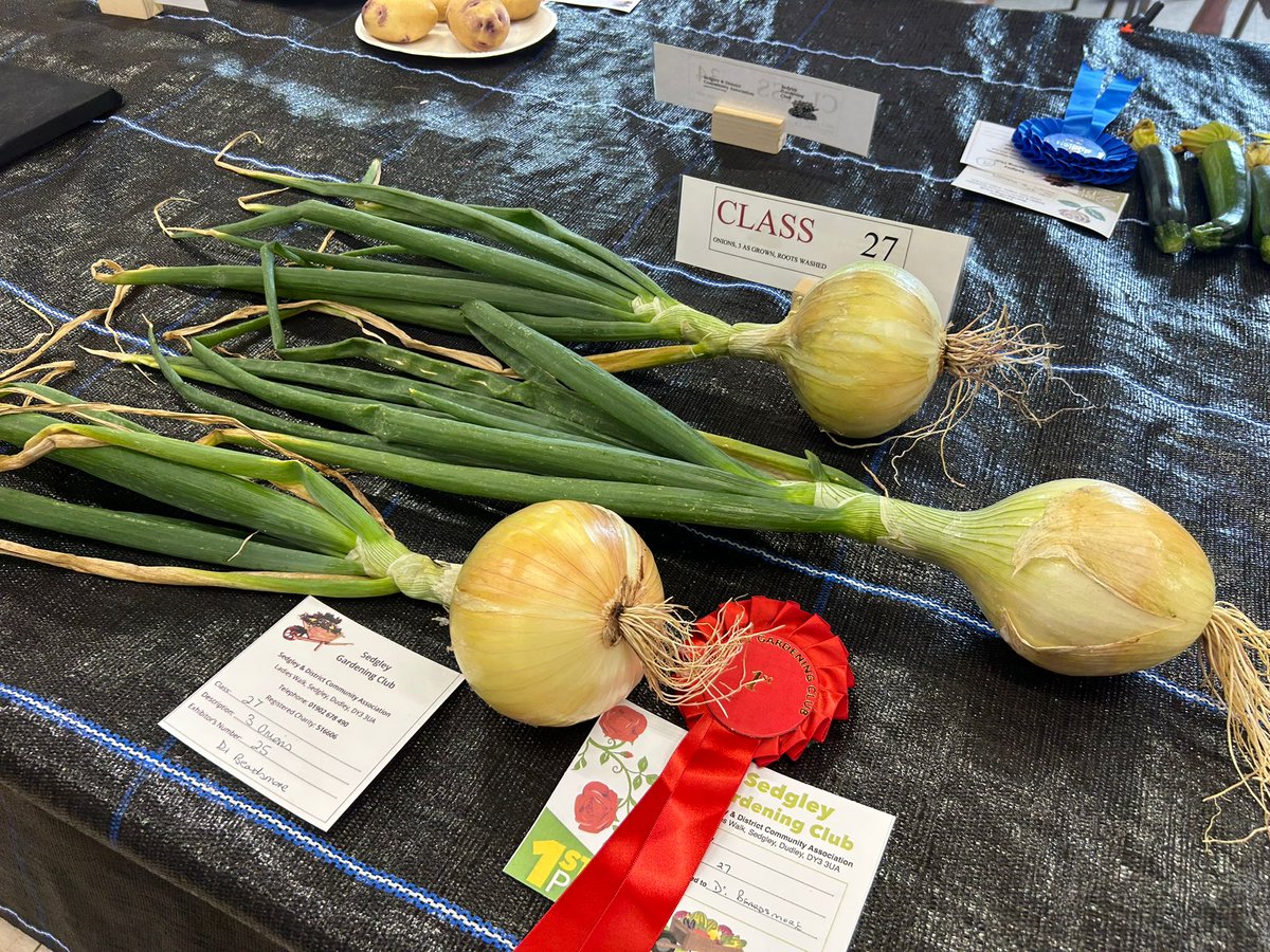 ConnectedDudley's tweet photo. Happening now! Come along and support Sedgley gardening club.  There's crafts, a singer, home made cake, wood turning  as well as flowers and produce https://t.co/kMvkPqKmXk