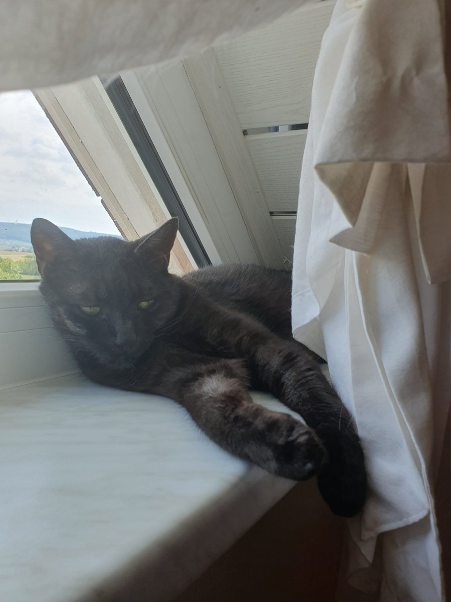 Alles gute zum 12 Geburtstag Lupin