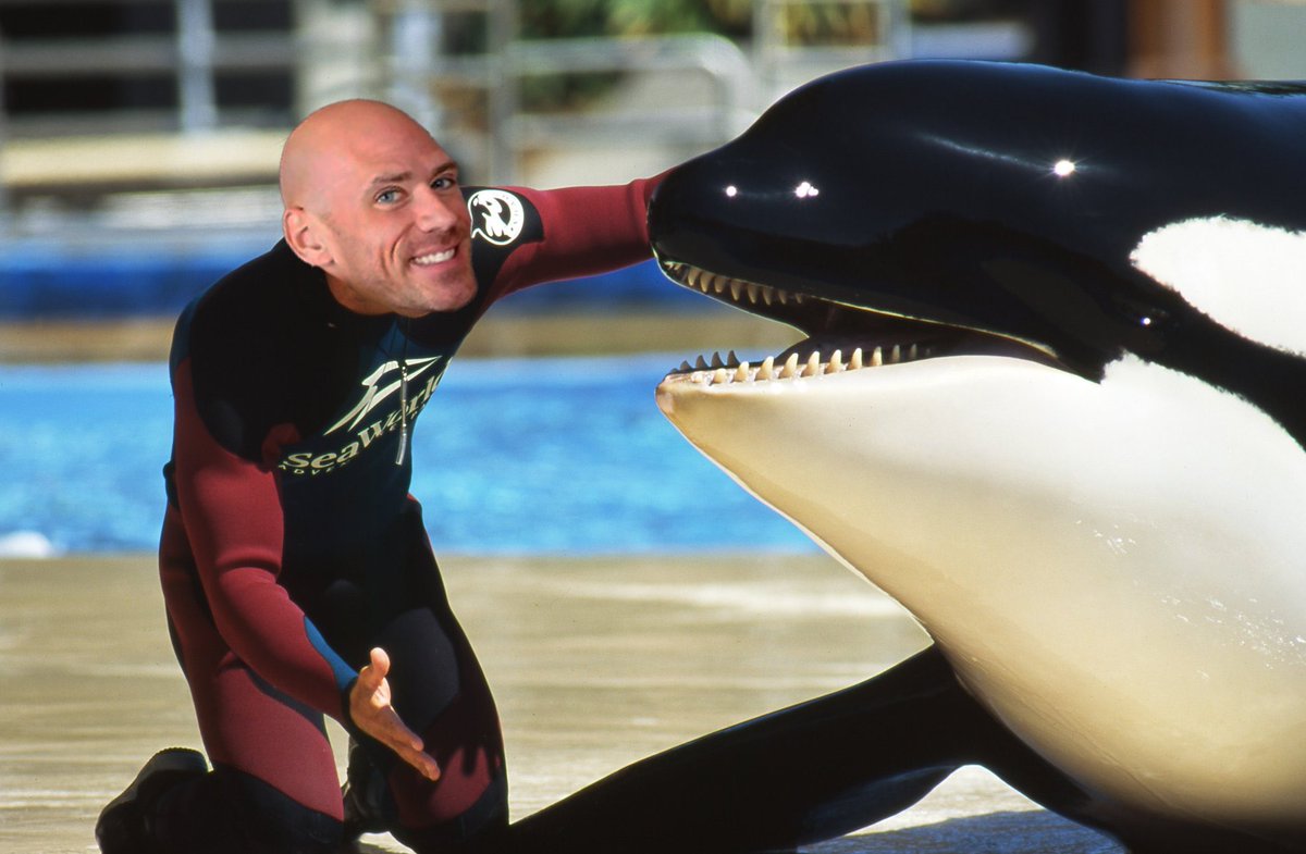 Accumulate $Orcasm slowly
Hope to see like jeets exit.

Feel $Orcasm