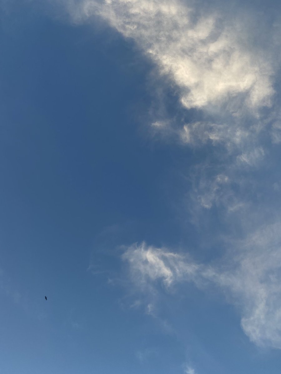 TaleofPoet's tweet image. Today’s canvas.