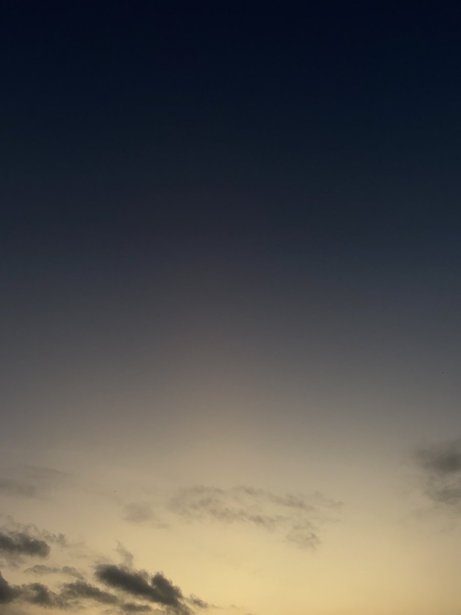 TaleofPoet's tweet image. Today’s canvas.