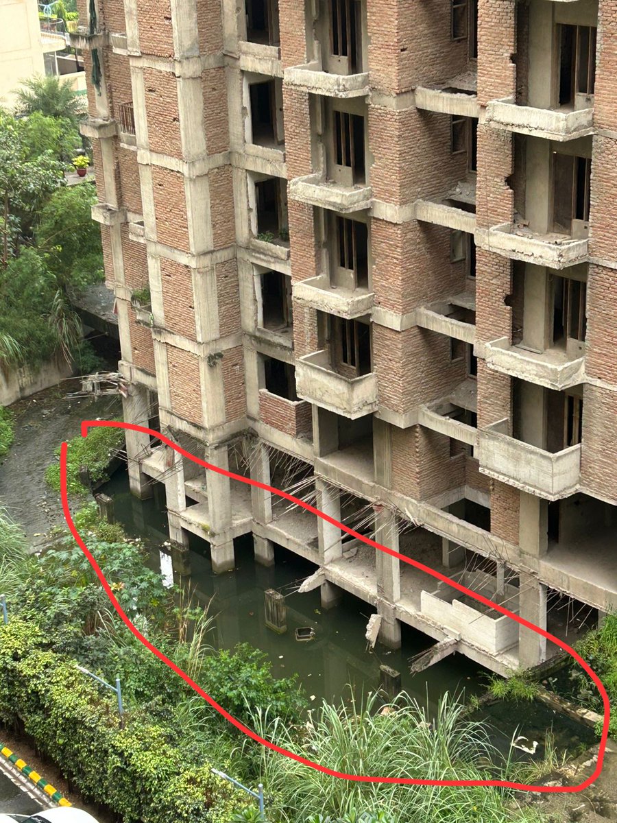 Divy Prince tweet media