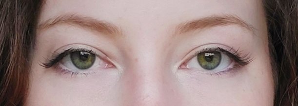 post your eyes and ask your moots what animal you’d be