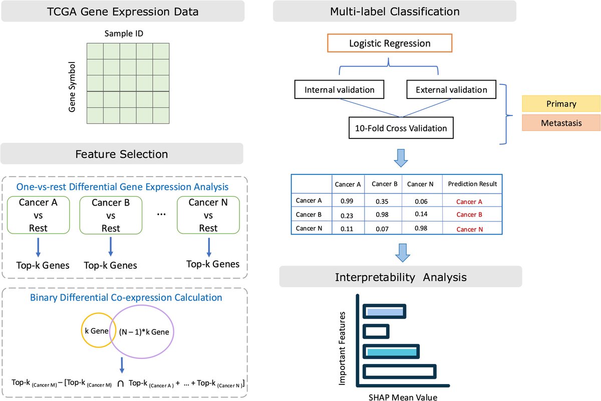 Wiley_CancerRep's tweet image. Hao et al. developed biologically interpretable machine learning framework—OncoTrace-TOO—to accurately classify tissue-of-origin across diverse cancers.
doi.org/10.1002/cnr2.7…
#CancerReports #Wiley #Cancer #Cancer_Unknown_Primary #MachineLearning #OncoTraceTOO #Transcriptome