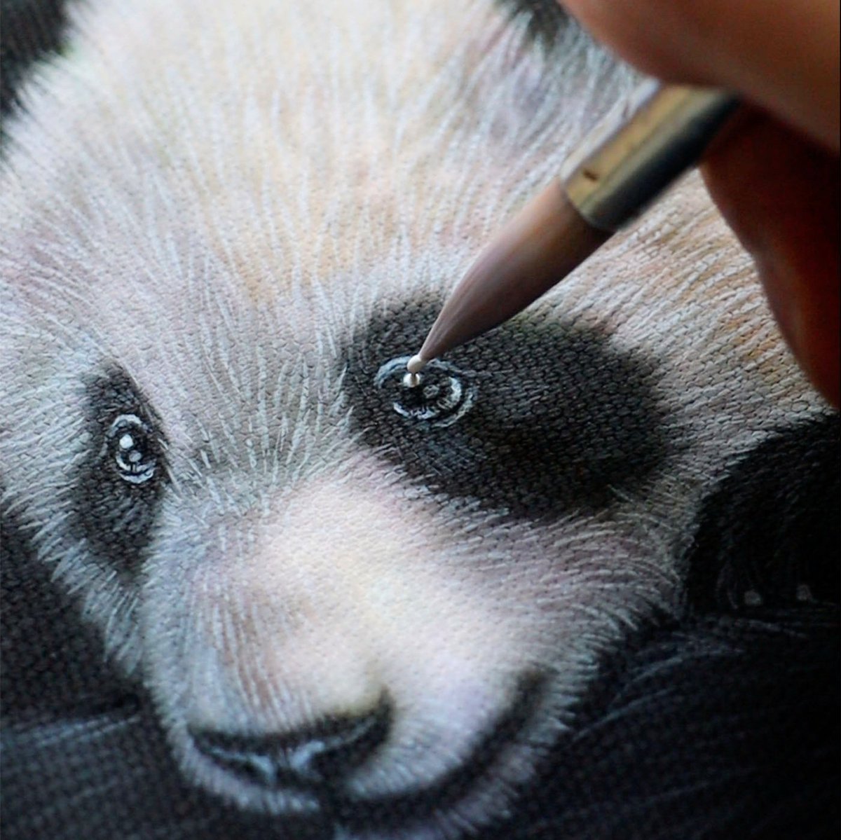 時雨 西野健太郎