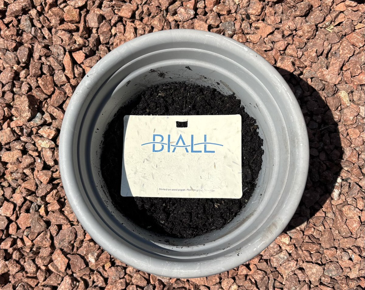 The seeds from the#BIALL2025 name badge are doing well!