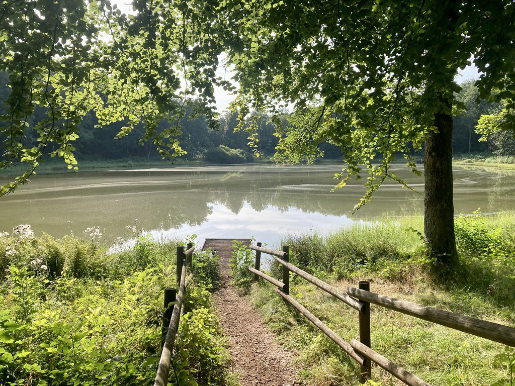 Stephen Parker tweet media