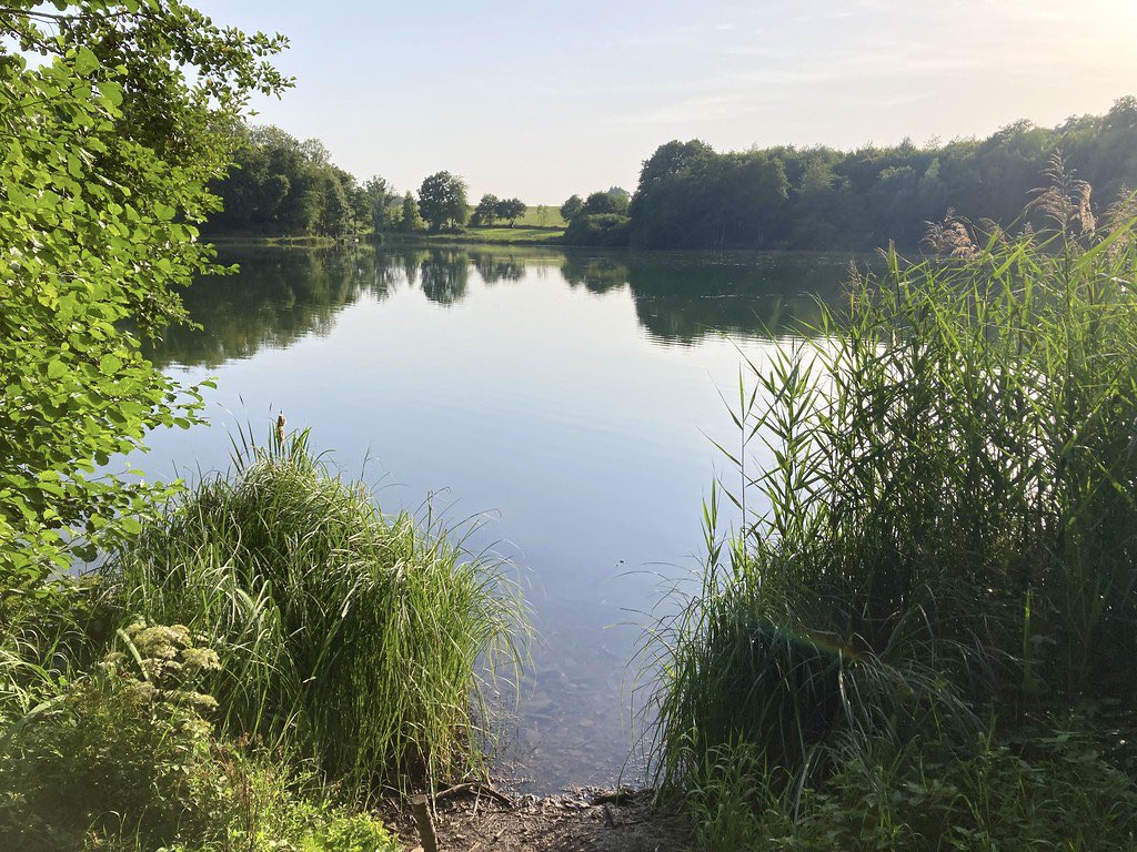 Stephen Parker tweet media