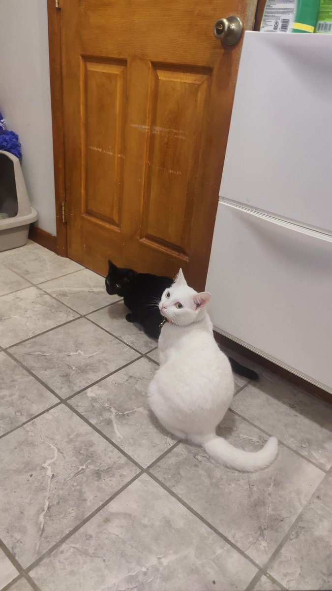 You goobers followed me in here, now you gotta wait until I'm done poopin'