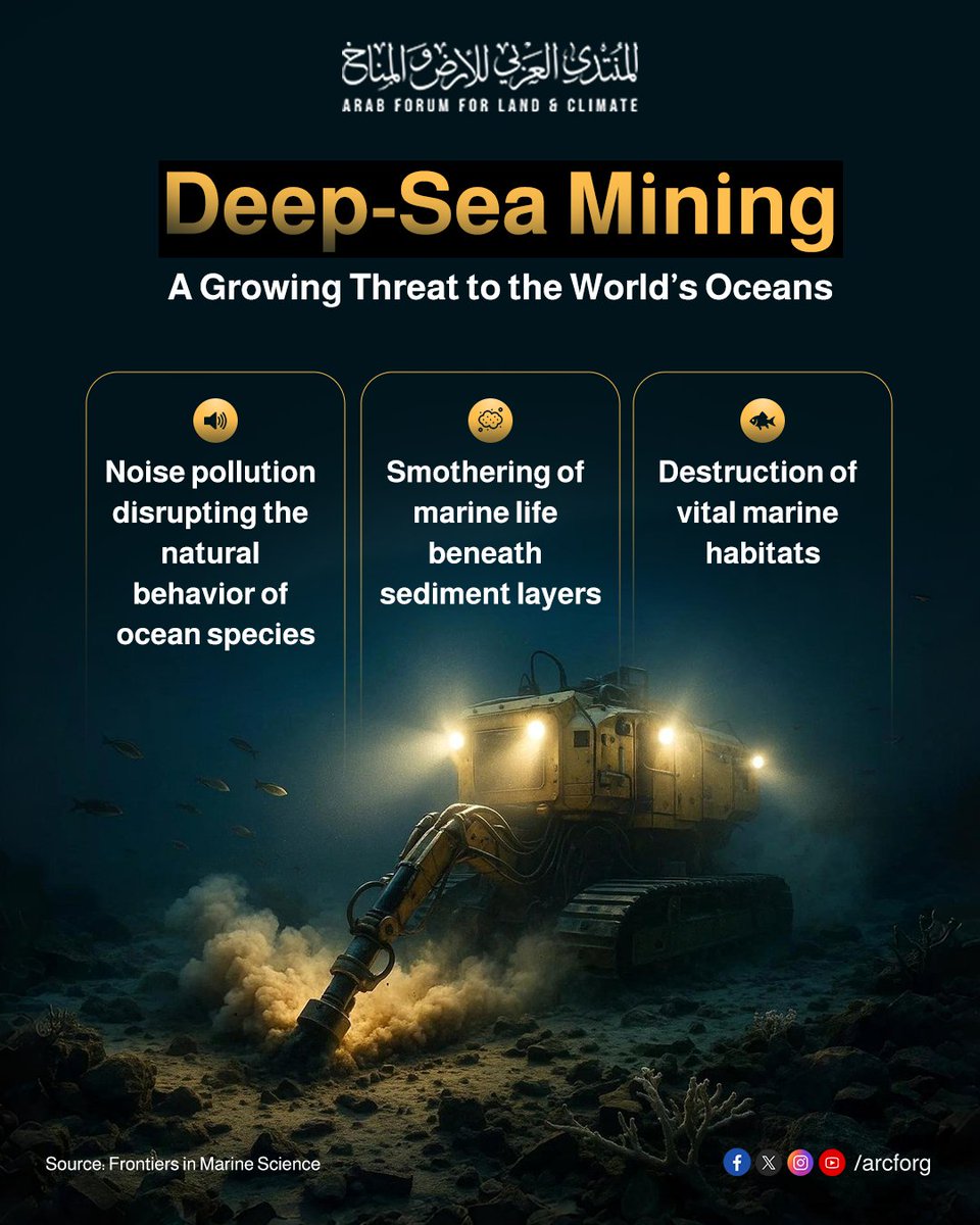 arcforg's tweet photo. Unsustainable sea mining threatens our oceans
It creates noise, spreads sediments, and destroys habitats, putting countless marine species at risk. Protect the deep sea — protect our planet.
#ALCForum
#Life_Below_Water https://t.co/qmJL2VOP7B