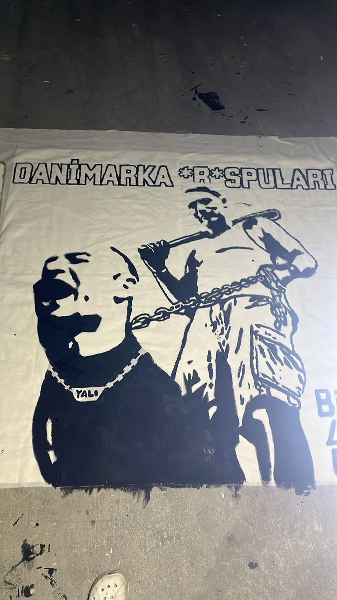 Danimarka’nın i*neleri :)