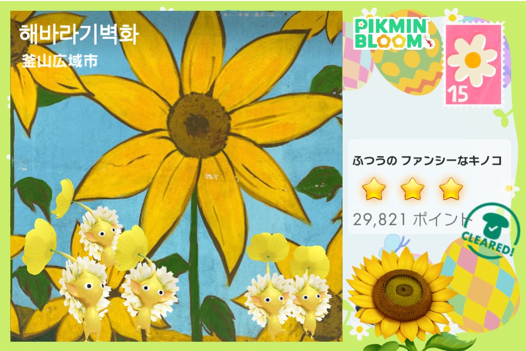 Mmin_bloom's tweet photo. 🌻🌻ひまわり🌻🌻
ありがとうございます🫶💞
#ピクミンブルーム　#PikminBloom https://t.co/hqRq8VsAQi