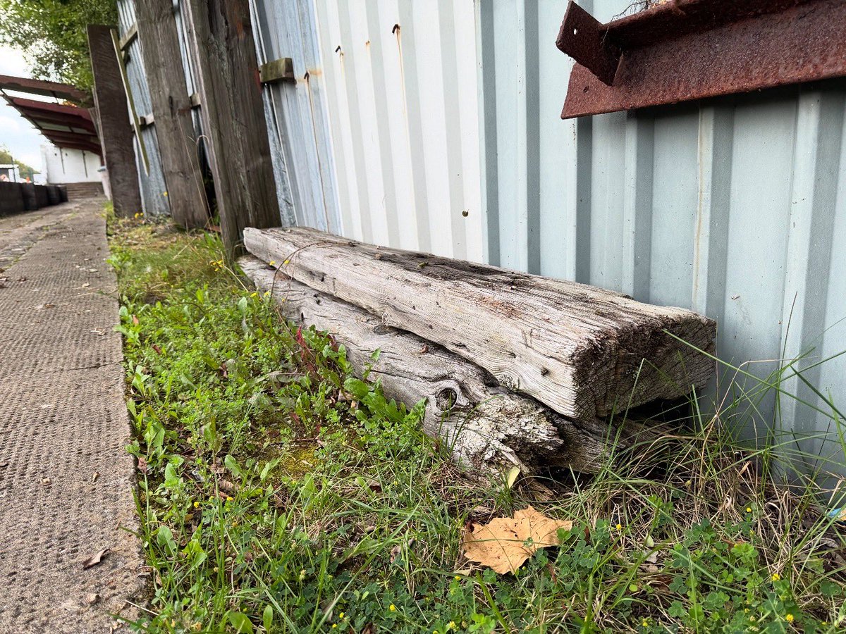 Sam North tweet media