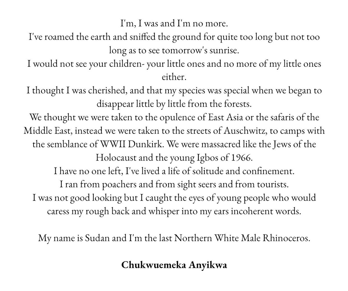 emekaAL's tweet image. I remember writing this piece in 2018 about Sudan, the last northern white Rhino. All we have now will be fossils, history and pictures.

The word extinction once more becomes a reality.
@NatGeo @WOAH @BBCAfrica @CNN @RSLiterature