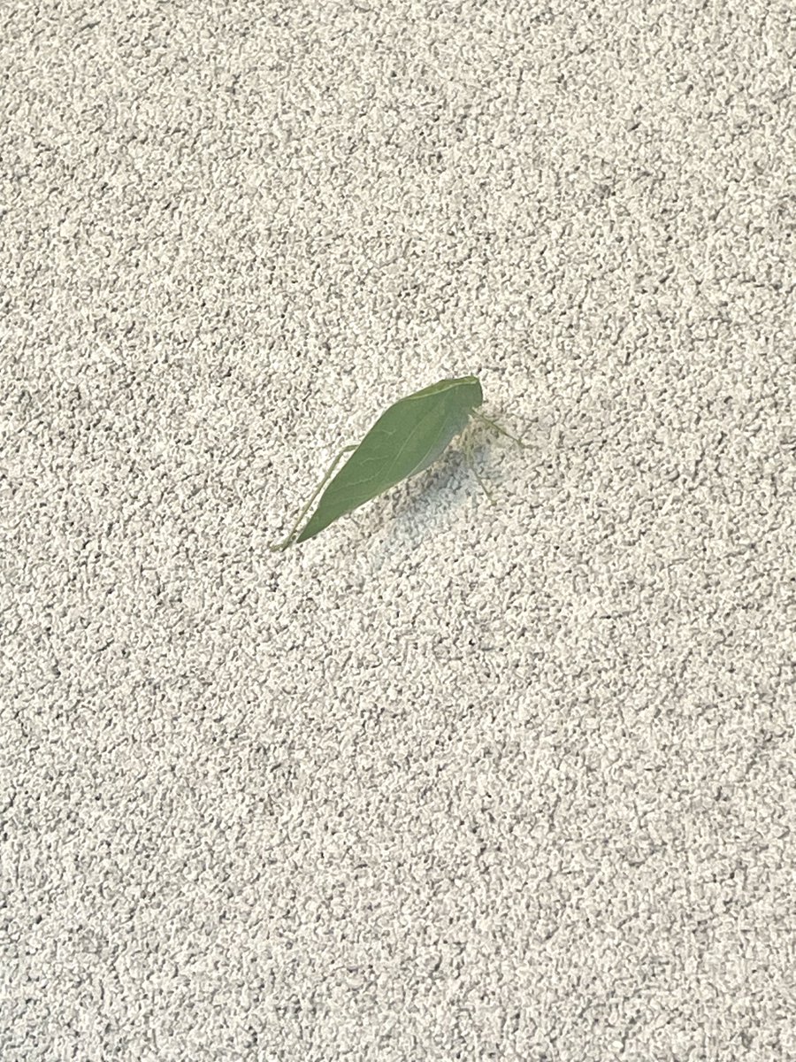 Mother Nature took it to a new level with this one 🔥🔥🚀🚀