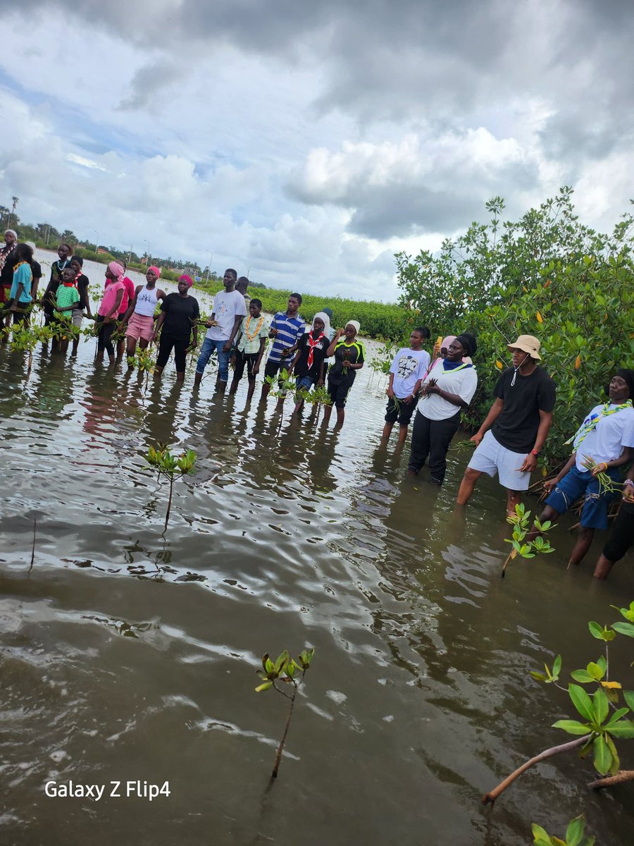 Alieu Badara Jallow tweet media