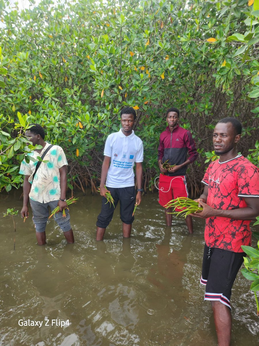 Alieu Badara Jallow tweet media