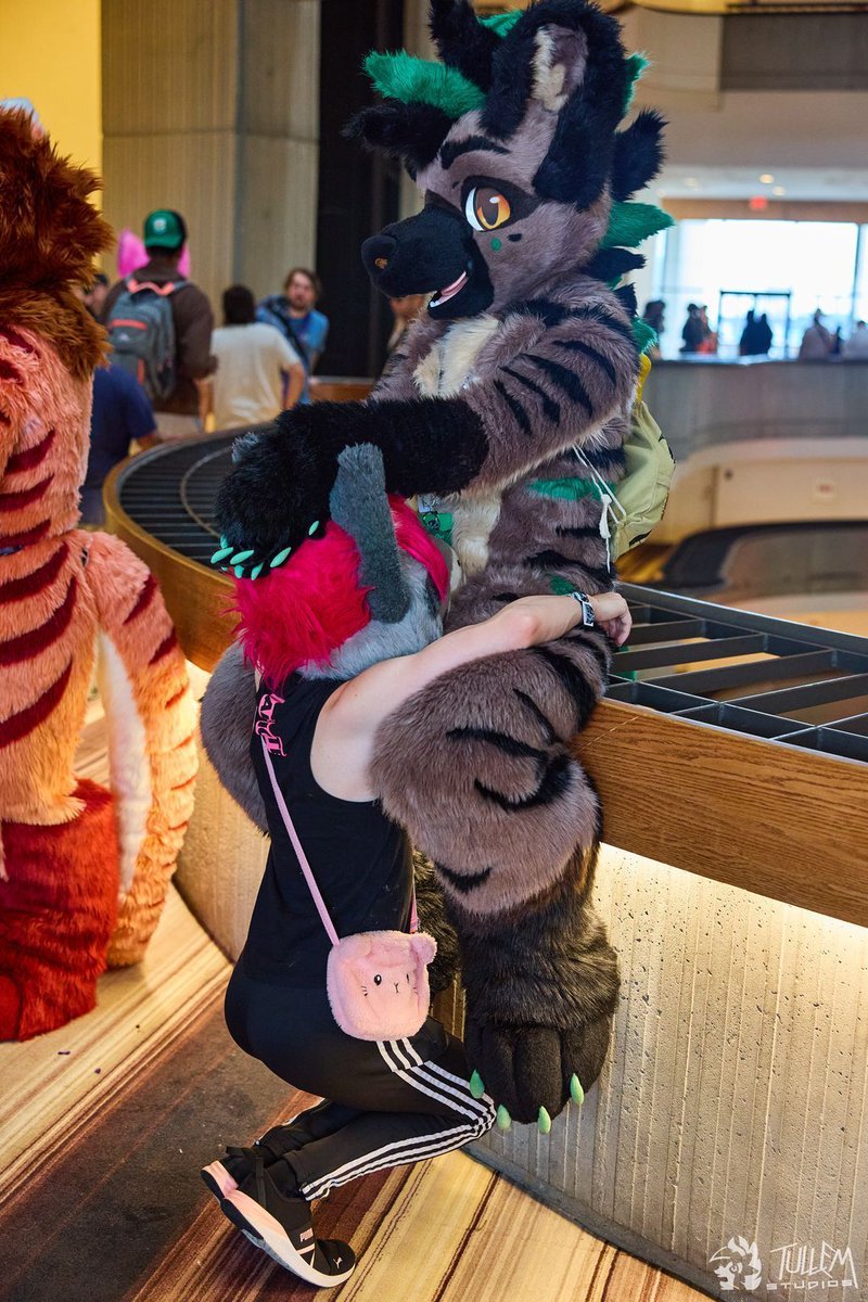 Swizz / Skittles 🇮🇪 🔜 FWA (@skittleshusk) on Twitter photo how to properly greet a yeen
w/ <a href="/Melon_mow/">Soju cat ☠️ @Megaplex</a>
ft. @HunterDer 's butt
📸 <a href="/tullembrat/">Tullem🔜FD, MP, AFC</a> how to properly greet a yeen
w/ <a href="/Melon_mow/">Soju cat ☠️ @Megaplex</a>
ft. @HunterDer 's butt
📸 <a href="/tullembrat/">Tullem🔜FD, MP, AFC</a>