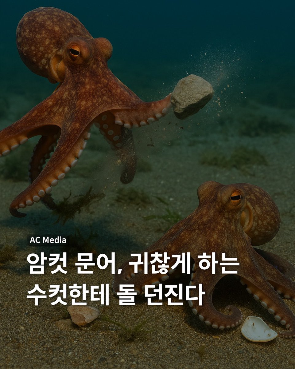 고능하다