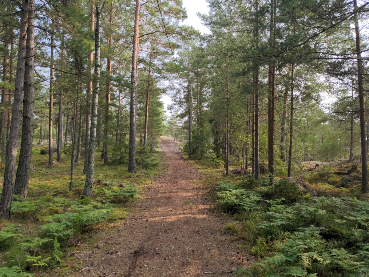 Good Morning, Everyone!

Have a thoughtful Thursday!