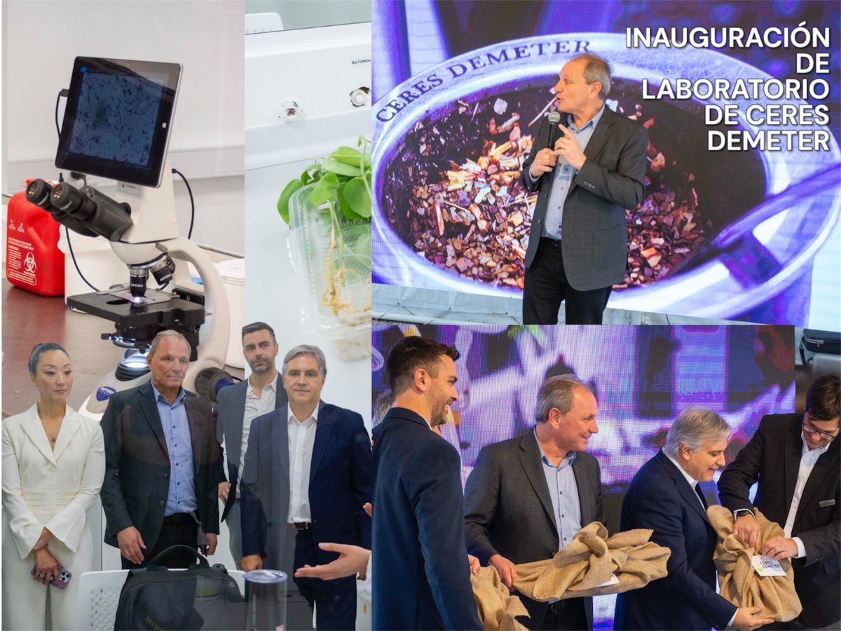 Guillermo De Rivas tweet media