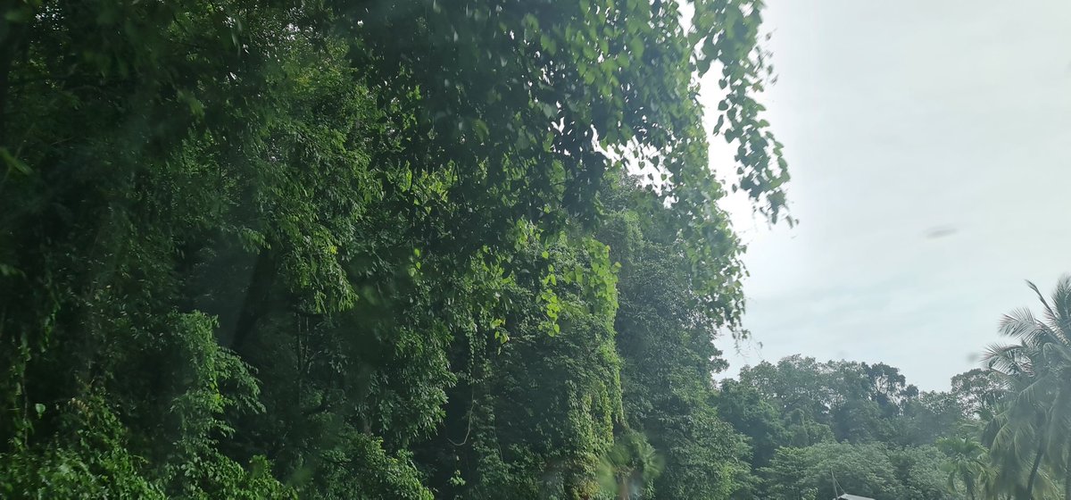 #journey @wayanad ghat, kerala, south india