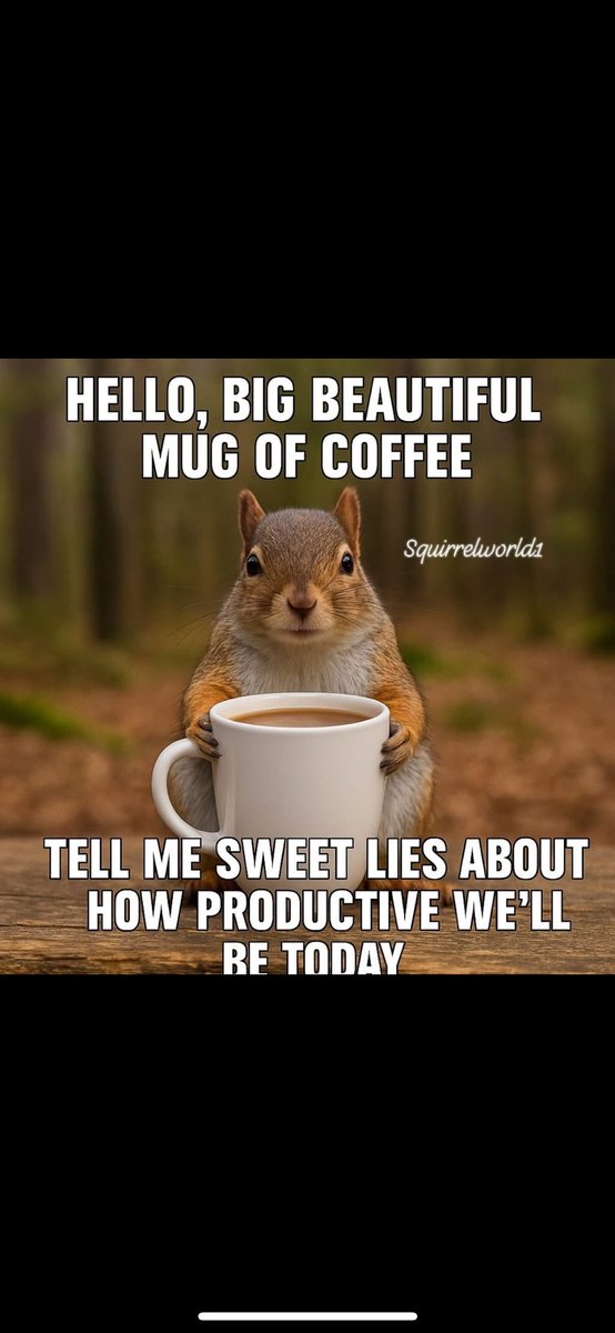 Heidi Phillips🌺 (@heidiplillips) on Twitter photo 