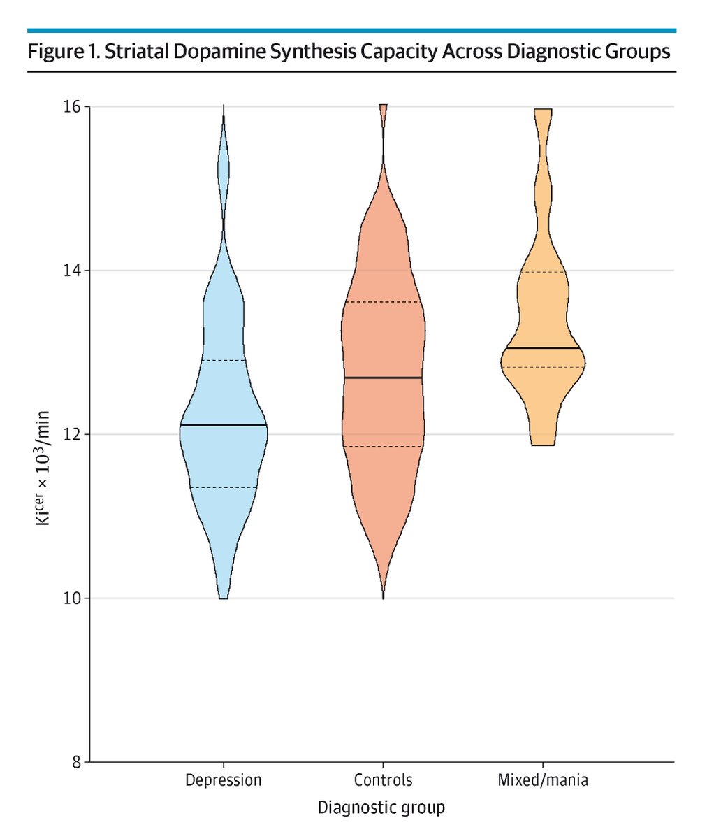 JAMA Psychiatry (@jamapsych) on Twitter photo #Dopamine synthesis capacity is reduced in psychosis with #depression compared to mixed/mania syndromes, while positive psychotic symptoms correlate with higher dopamine synthesis in the associative striatum. ja.ma/3HzCyZh <a href="/_ecologos/">Ellis Chika</a> #Dopamine synthesis capacity is reduced in psychosis with #depression compared to mixed/mania syndromes, while positive psychotic symptoms correlate with higher dopamine synthesis in the associative striatum. ja.ma/3HzCyZh <a href="/_ecologos/">Ellis Chika</a>