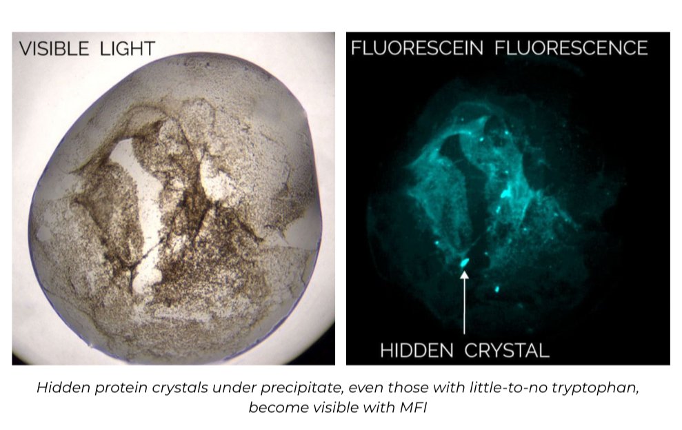 formulatrix's tweet image. Sensitive Crystal Detection
Learn more: hubs.ly/Q03CTJD40

#CrystalDetection #MultiFluorescenceImaging #ProteinCrystallization #UV #Formulatrix