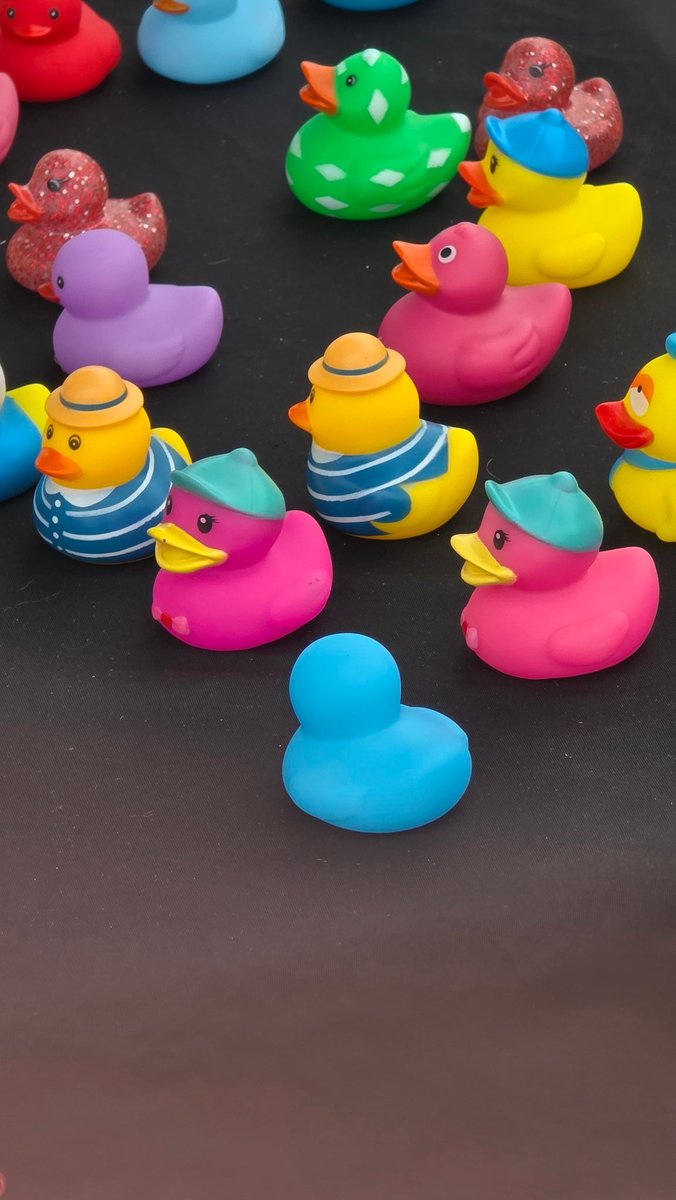 Want a duck? 👀 😂 <a href="/ZookZadamoto/">Zook Zadamoto</a>