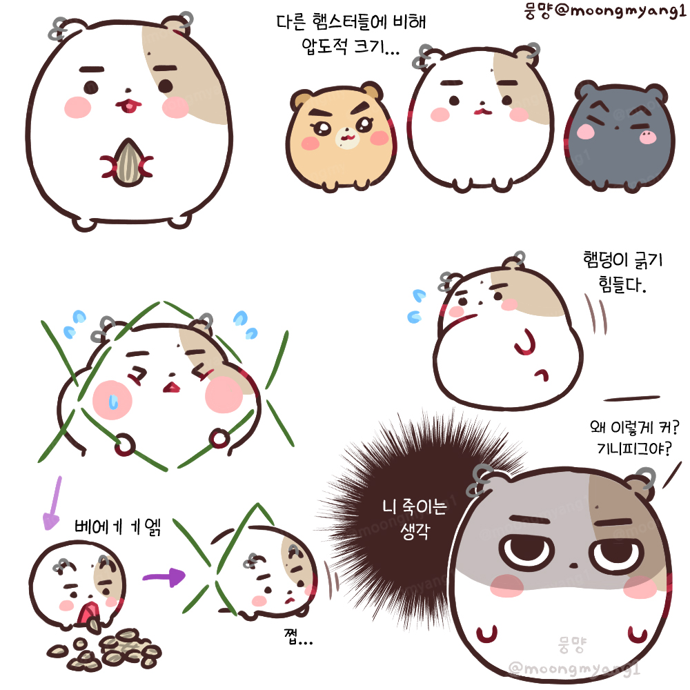 moongmyang1's tweet photo. 햄승이 https://t.co/9iIENWzgHT