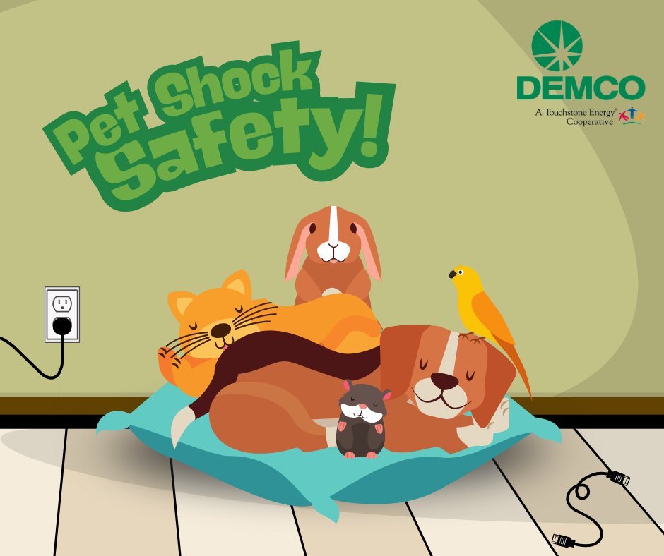 🐾 Pets are curious, and sometimes that curiosity can lead them too close to cords or outlets. Keep tails wagging and whiskers twitching by securing loose wires and using outlet covers. A little prevention goes a long way toward pet safety!