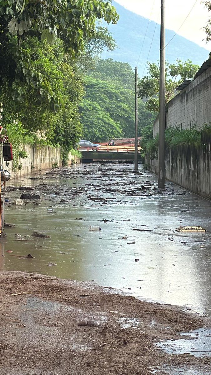 Entrada al parque bicentenario lado sur por cancillería. La calle que se ve es la diego de holguin. A ese nivel ha subido el agua.
Pero ahí andan queriendo volarse aún más del bosque.