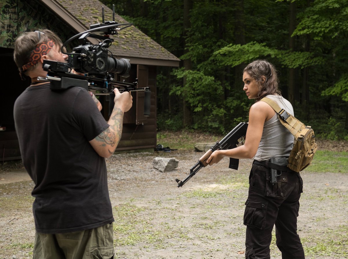 Shane Cole tweet media