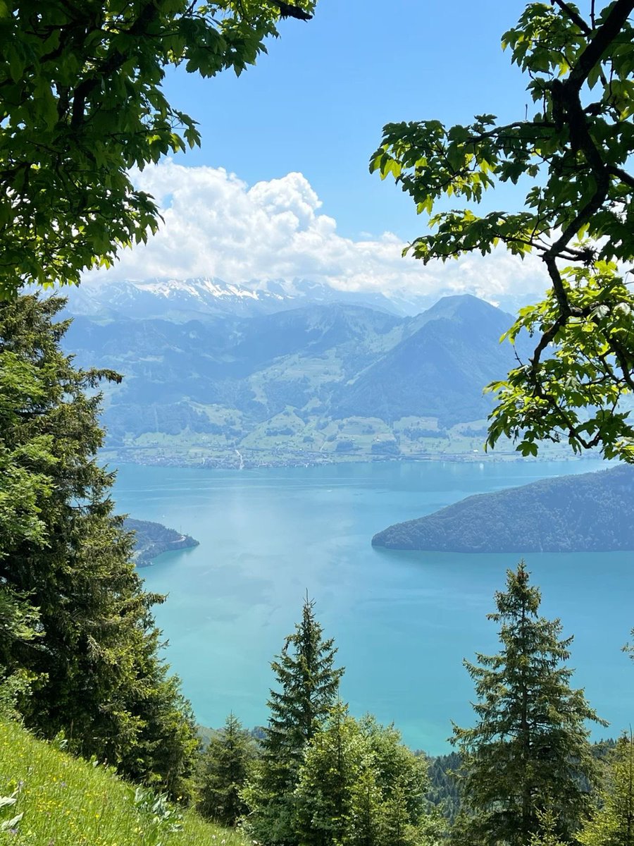 ♡ (@aestheticbased) on Twitter photo 