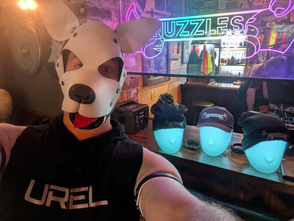 PupUriel's tweet photo. I'm back!! Been too long though it's great to be at Nuzzles again https://t.co/F23IS4LMMH