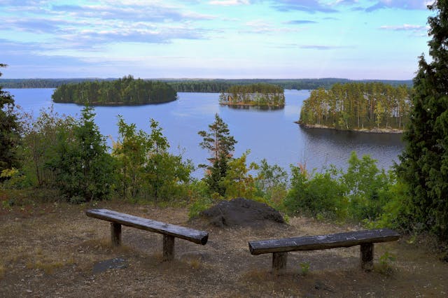 Life Unsettled tweet media