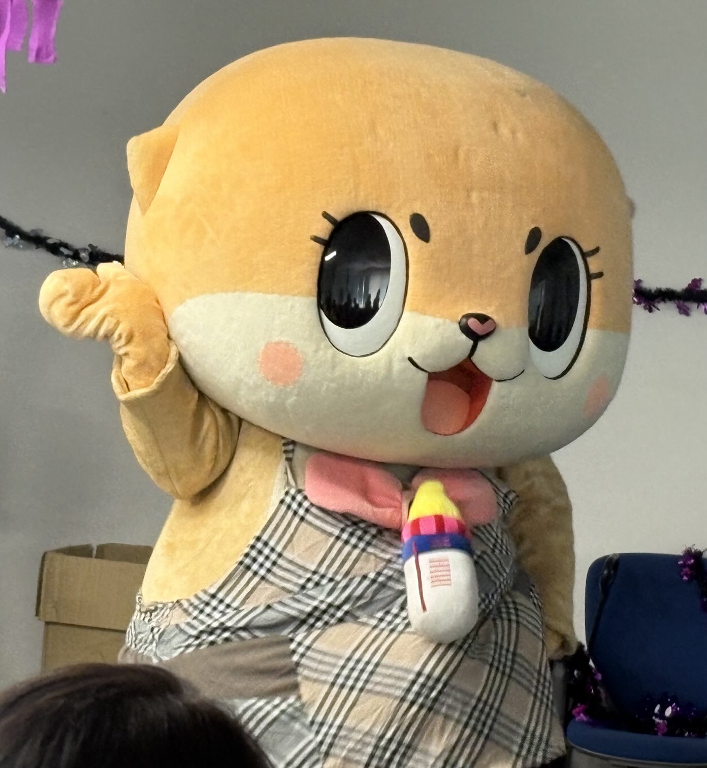 あさっちゃん様オーダーページです。 ◇オーダー用 ぱっちゃん イラスト tsubaki23 通販 10749181