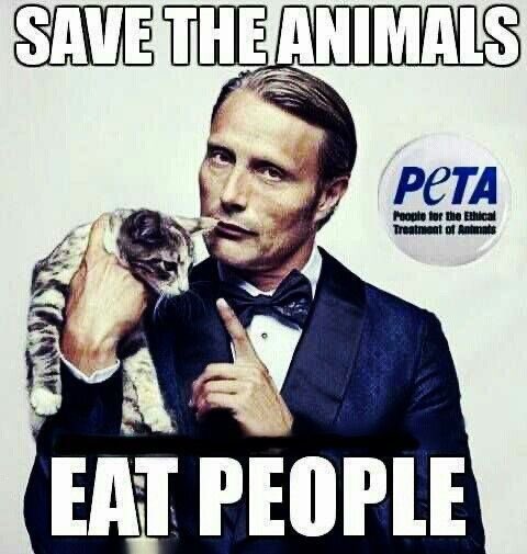 lucidcherub's tweet image. 