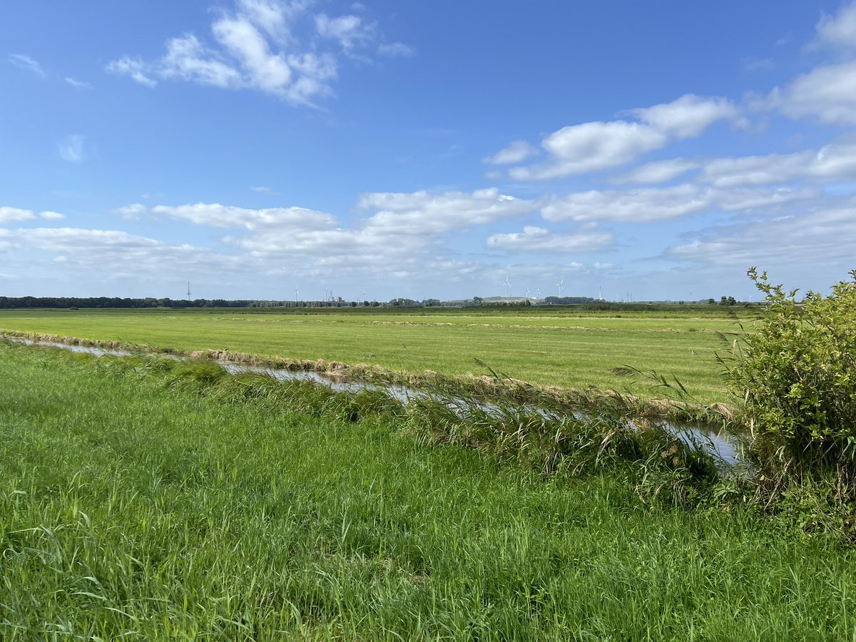 EC_NL's tweet photo. Vanochtend de @loopmaatjes👟 aan voor 32,6km zomer-duurloop🥵🌤️ @bremen_de #Blockland, maar ik moest het laatste stuk wandelen ivm kuitpijn…😢 Nou ja, de omgeving was wél mooi, favoriet bij @hardloopvriend'en en @fietsmaatjes. @Lopen_is_leuk toch! https://t.co/D3Trs2npUz