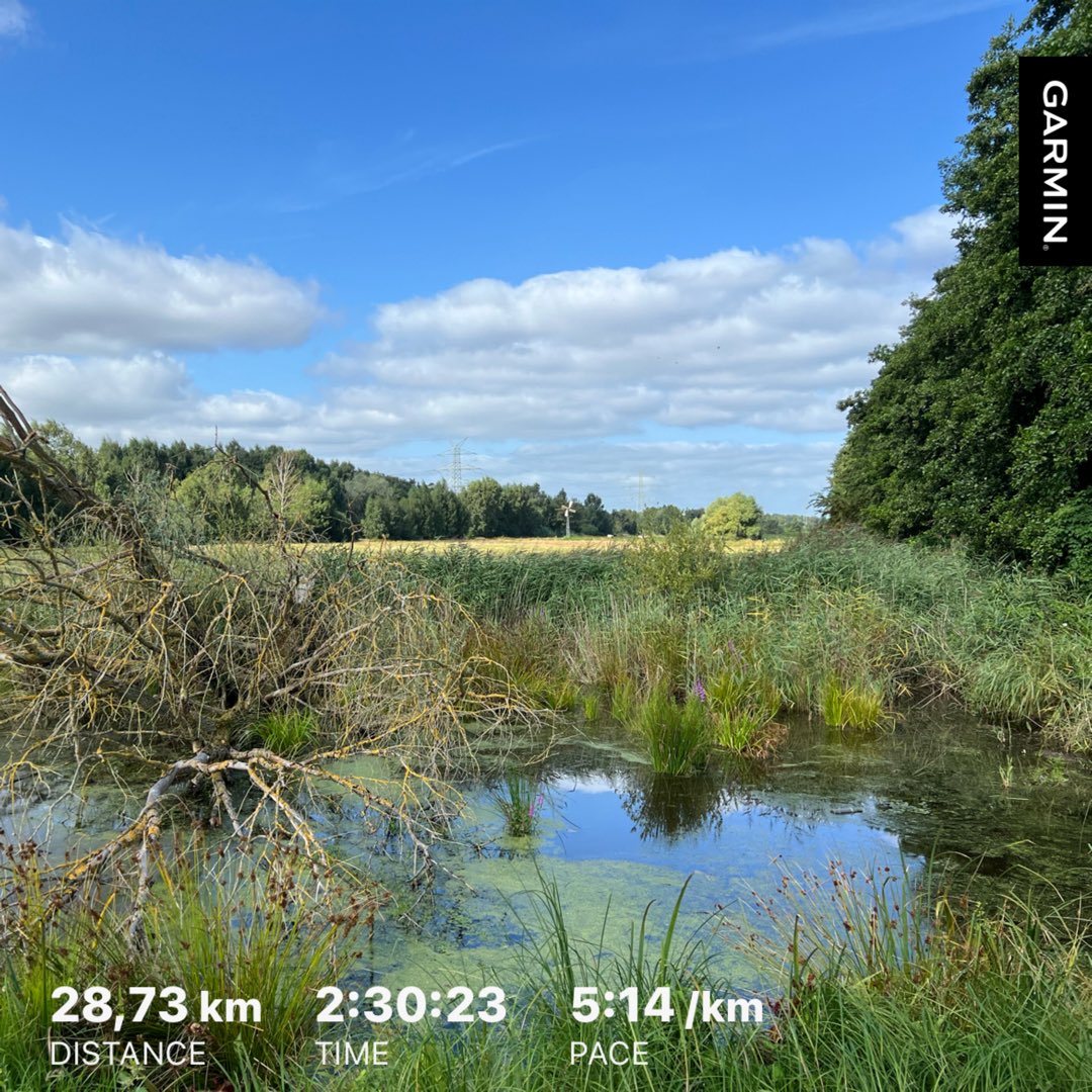 EC_NL's tweet photo. Vanochtend de @loopmaatjes👟 aan voor 32,6km zomer-duurloop🥵🌤️ @bremen_de #Blockland, maar ik moest het laatste stuk wandelen ivm kuitpijn…😢 Nou ja, de omgeving was wél mooi, favoriet bij @hardloopvriend'en en @fietsmaatjes. @Lopen_is_leuk toch! https://t.co/D3Trs2npUz